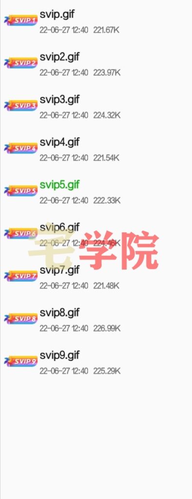 图片[13]-Zibll社区论坛等级图标会员图标素材-阿宅博客