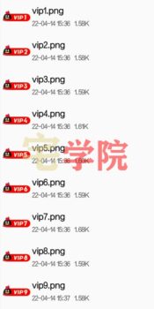 Zibll社区论坛等级图标会员图标素材-阿宅博客