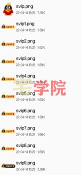 Zibll社区论坛等级图标会员图标素材-阿宅博客