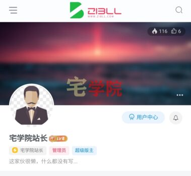 zibll子比主题认证图标换成bilibili认证小闪电美化-阿宅博客