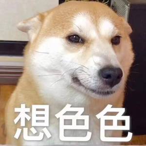 sese的头像-阿宅博客