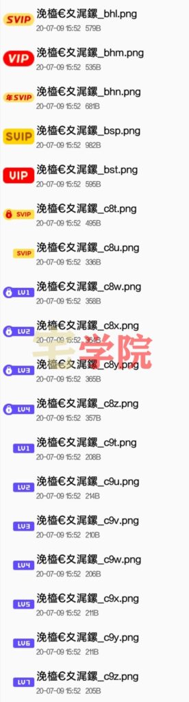 图片[7]-Zibll社区论坛等级图标会员图标素材-阿宅博客