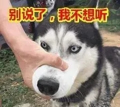 圈子板块分类  默认区-阿宅博客