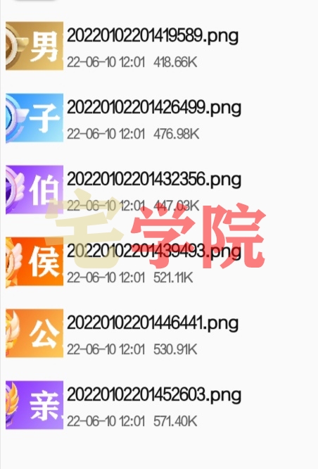 图片[10]-Zibll社区论坛等级图标会员图标素材-阿宅博客