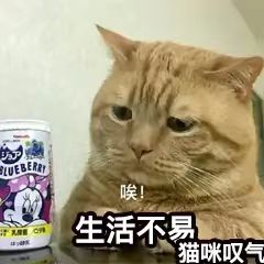 交流划水-阿宅博客
