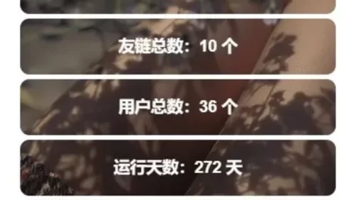 WordPress添加网站统计信息小工具-阿宅博客