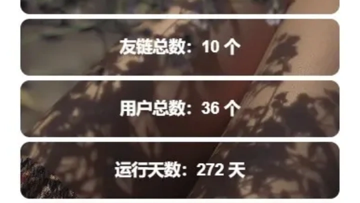 图片[3]-WordPress添加网站统计信息小工具-阿宅博客