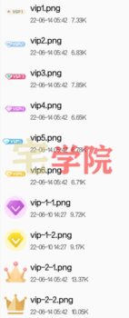 Zibll社区论坛等级图标会员图标素材-阿宅博客